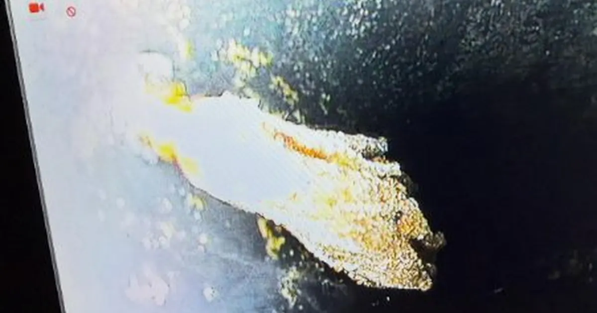 Plumbing technician working on visible pipe connections for Why You Should Get a Sewer Camera Inspection Before Buying a Tolleson Home in Original Tolleson
